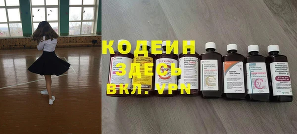 крисы Абаза