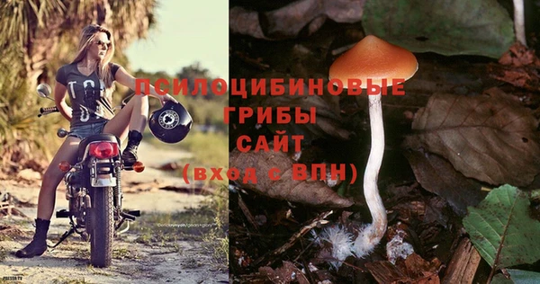 не бодяженный Алзамай