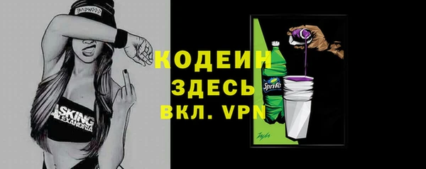 крисы Абаза