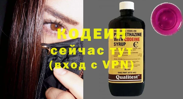 крисы Абаза