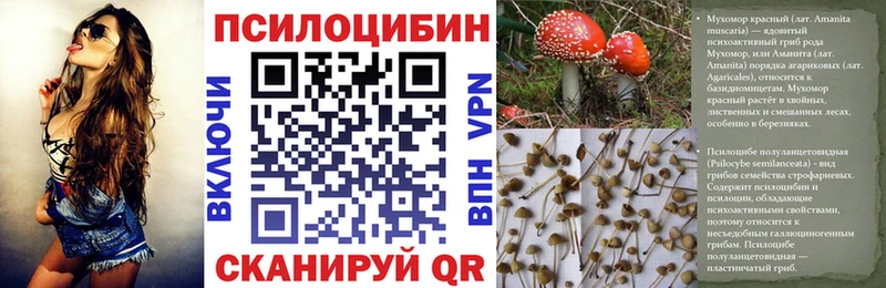 гидра ссылка  цена   Орск  Псилоцибиновые грибы Psilocybe 