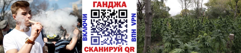 Шишки марихуана семена  Орск 